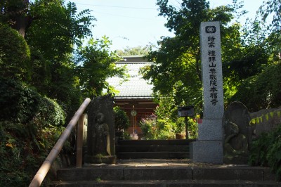 松戸・本福寺